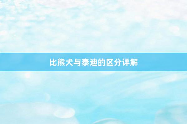 比熊犬与泰迪的区分详解