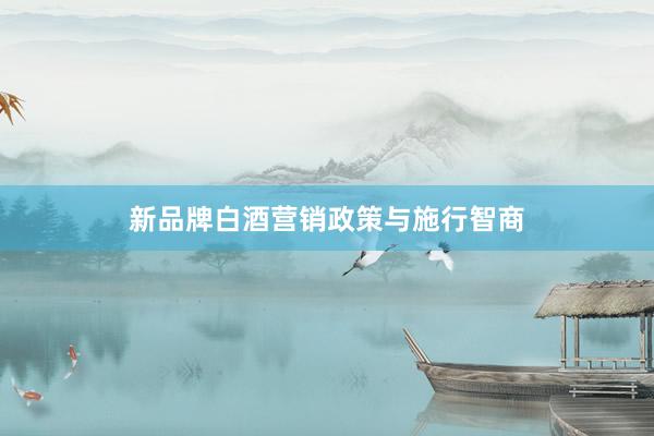 新品牌白酒营销政策与施行智商